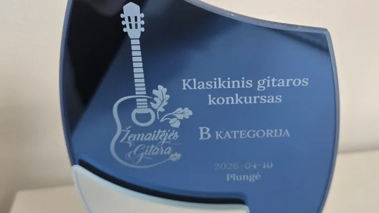 Žemaitėjės gitara