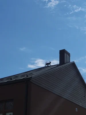 Ekskursija Telšiuose (21)